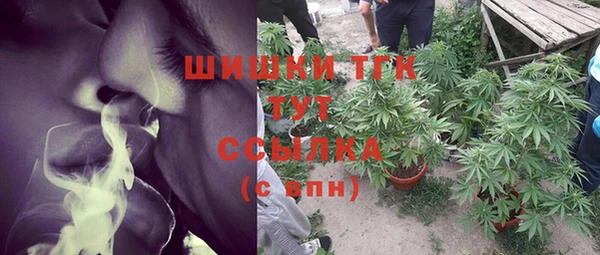 стаф Саяногорск