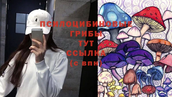 таблы Алексин
