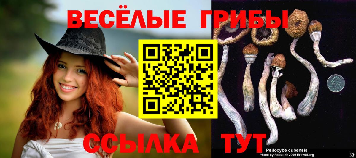 Псилоцибиновые грибы Cubensis Бахчисарай